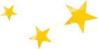 星のアイコン