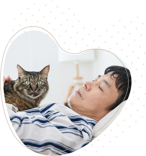 快眠